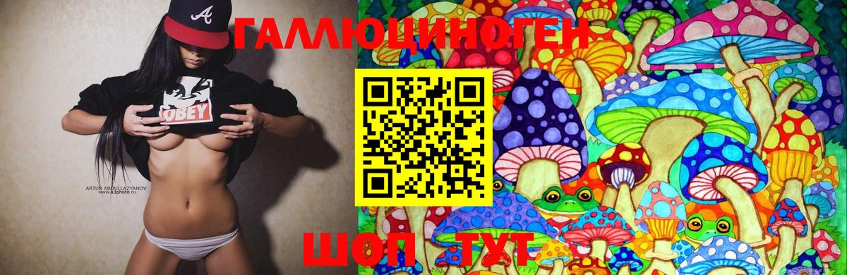 Псилоцибиновые грибы GOLDEN TEACHER Отрадное